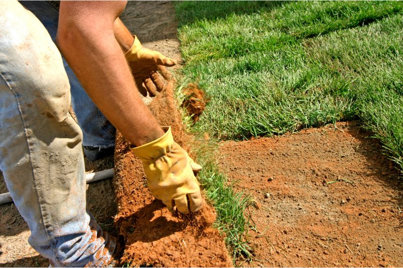 Construire Terase services in Oradea, Bihor County