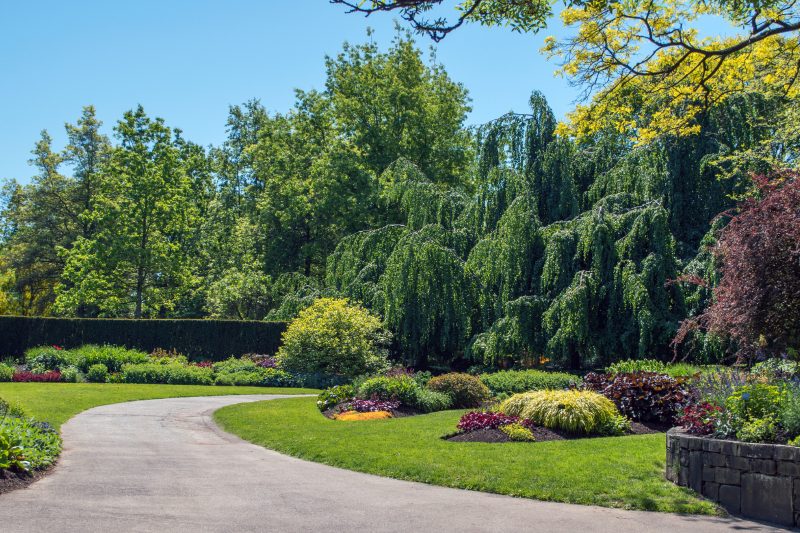 Landscaping & Hardscaping project in Oradea