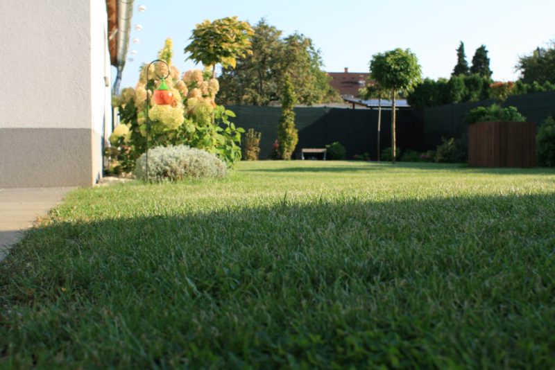 Landscaping & Hardscaping project in Oradea