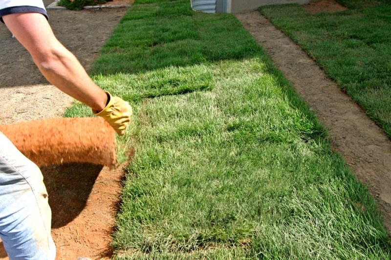 Landscaping & Hardscaping project in Oradea