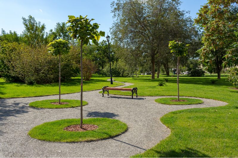 Landscaping & Hardscaping project in Oradea