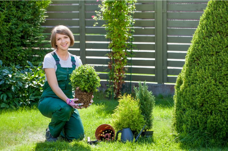 Landscaping & Hardscaping project in Oradea