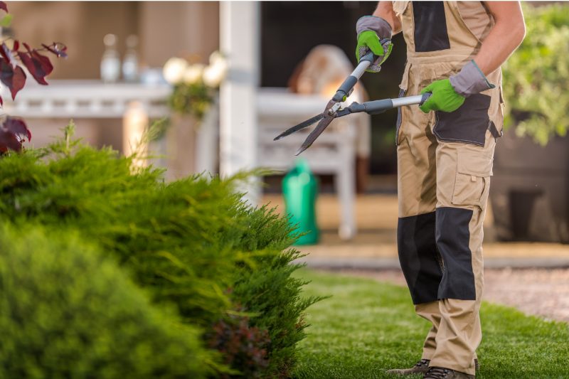Landscaping & Hardscaping project in Oradea